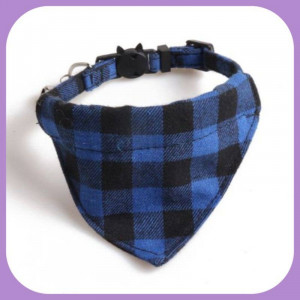 Collar-029